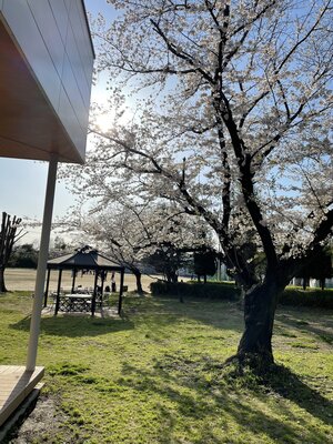 ホームページの閲覧停止について