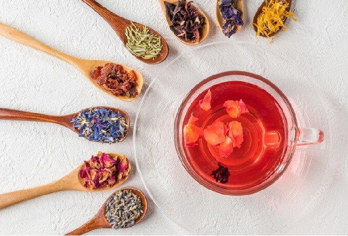 育英短期大学パパママサロンmoimoiについて